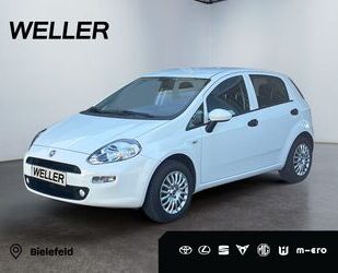 Fiat Punto Gebrauchtwagen