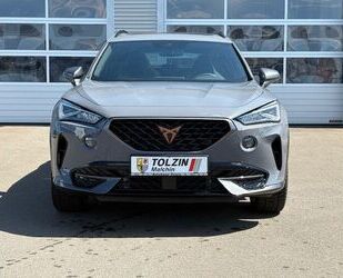 Cupra Formentor Gebrauchtwagen