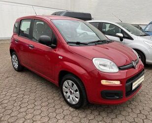 Fiat New Panda Gebrauchtwagen