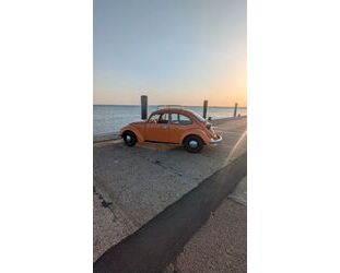 VW Käfer Gebrauchtwagen