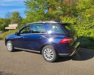 Mercedes-Benz ML 350 Gebrauchtwagen
