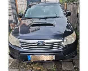Subaru Forester Gebrauchtwagen