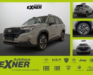 Subaru Forester Gebrauchtwagen