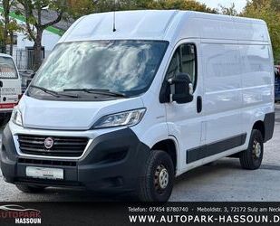 Fiat Ducato Gebrauchtwagen