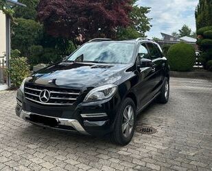 Mercedes-Benz ML 350 Gebrauchtwagen