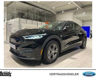 Ford Mustang Mach-E Gebrauchtwagen