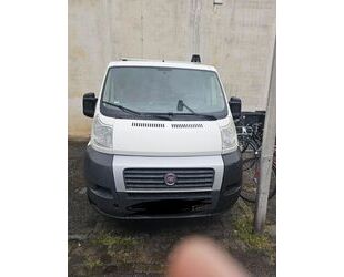 Fiat Ducato Gebrauchtwagen