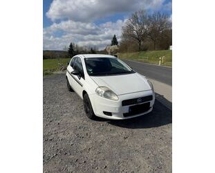 Fiat Punto Gebrauchtwagen