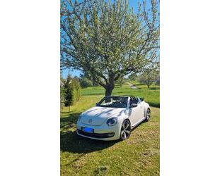 VW Beetle Gebrauchtwagen