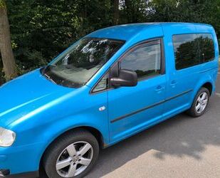 VW Caddy Gebrauchtwagen