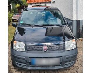 Fiat Panda Gebrauchtwagen