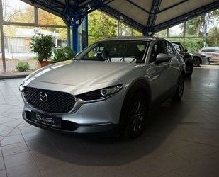 Mazda CX-30 Gebrauchtwagen