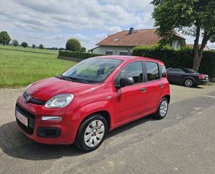 Fiat Panda Gebrauchtwagen
