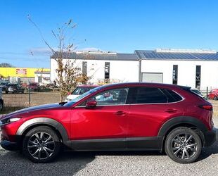 Mazda CX-30 Gebrauchtwagen