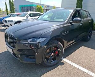 Jaguar F-Pace Gebrauchtwagen