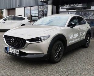 Mazda CX-30 Gebrauchtwagen