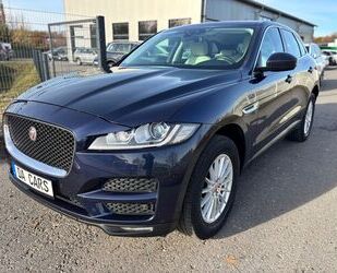 Jaguar F-Pace Gebrauchtwagen