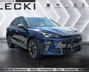 Cupra Terramar Gebrauchtwagen