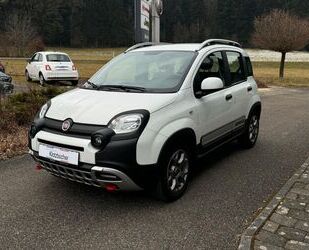 Fiat Panda Gebrauchtwagen