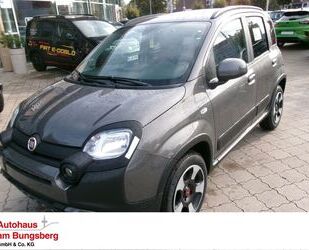 Fiat Panda Gebrauchtwagen