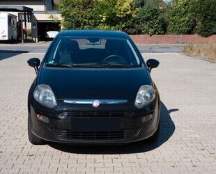 Fiat Punto Gebrauchtwagen