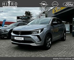 Opel Grandland (X) Gebrauchtwagen