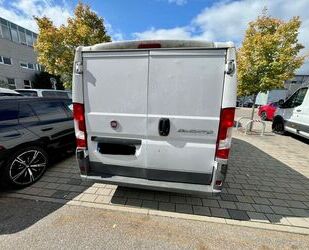Fiat Ducato Gebrauchtwagen
