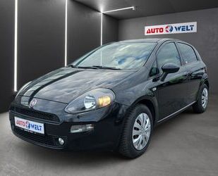 Fiat Punto Gebrauchtwagen