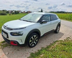 Citroen C4 Cactus Gebrauchtwagen