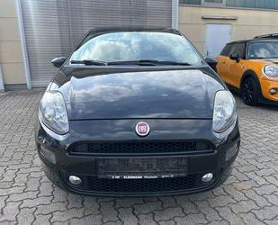 Fiat Punto Gebrauchtwagen