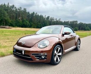 VW Beetle Gebrauchtwagen