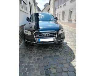 Audi SQ5 Gebrauchtwagen