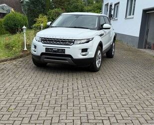 Land Rover Range Rover Evoque Gebrauchtwagen