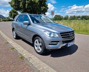 Mercedes-Benz ML 350 Gebrauchtwagen