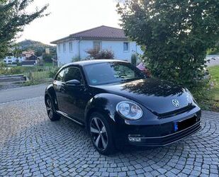 VW Beetle Gebrauchtwagen