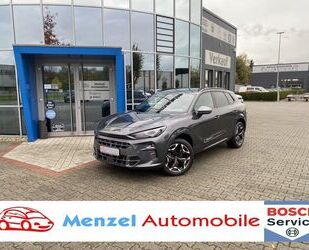 Cupra Terramar Gebrauchtwagen