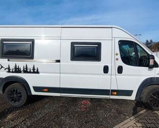 Fiat Ducato Gebrauchtwagen