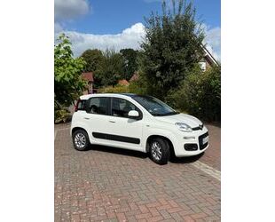 Fiat Panda Gebrauchtwagen