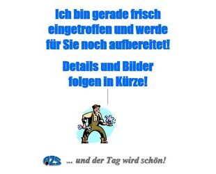 Ford Explorer Gebrauchtwagen