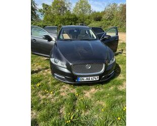 Jaguar XJ Gebrauchtwagen