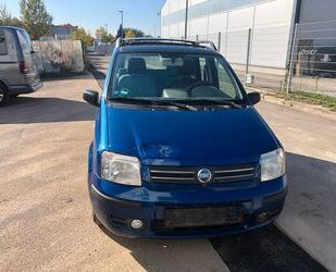 Fiat Panda Gebrauchtwagen