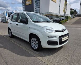 Fiat Panda Gebrauchtwagen