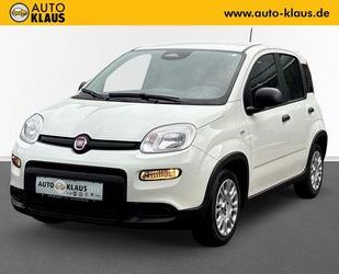 Fiat Panda Gebrauchtwagen