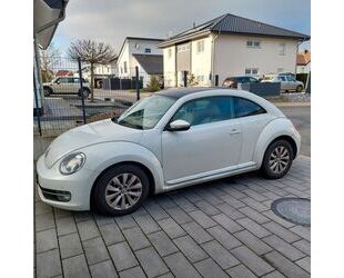VW Beetle Gebrauchtwagen