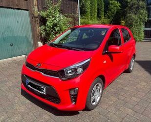 Kia Picanto Gebrauchtwagen