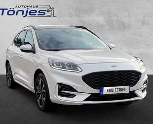 Ford Kuga Gebrauchtwagen
