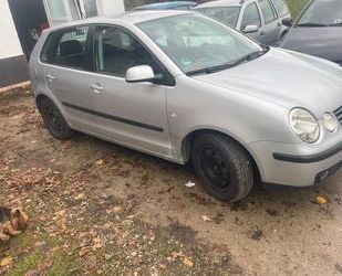 VW Polo Gebrauchtwagen