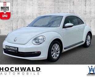 VW Beetle Gebrauchtwagen