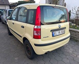 Fiat Panda Gebrauchtwagen