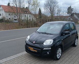 Fiat Panda Gebrauchtwagen
